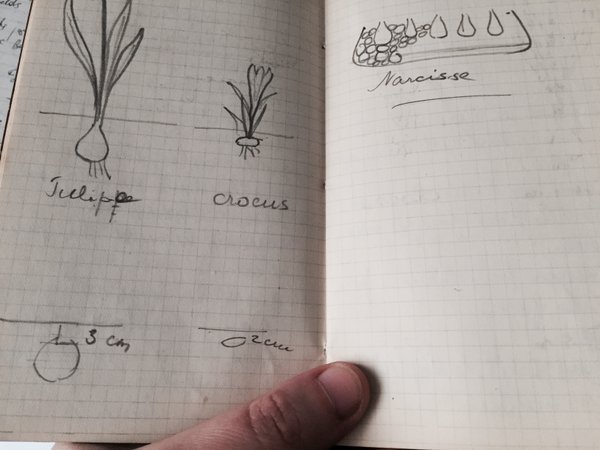 You’re writing down how to plant jacinthes and crocuses, some of it is even documented with drawings https://t.co/TawNN8v9fm